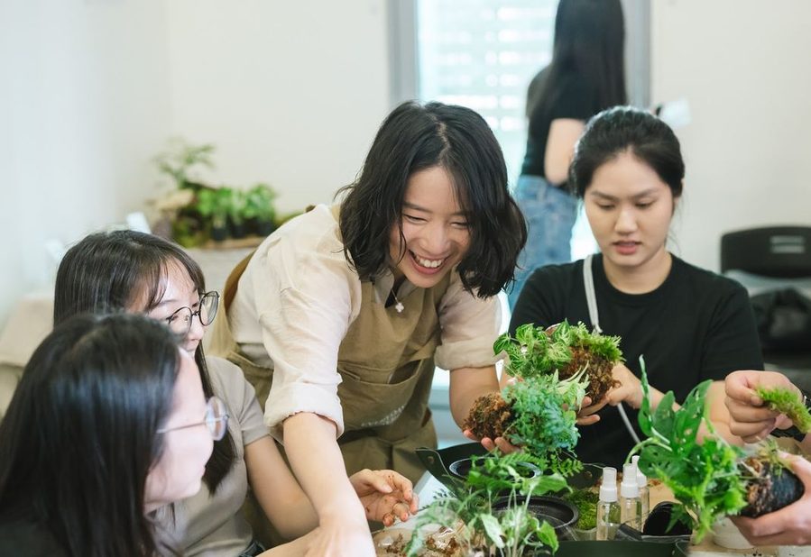 來養顆苔球小精靈吧 現場